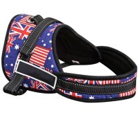 Нейлонова шлейка для собак Sports Dog Harness Set нагрудний регульований ремінь для тварин, повідець жилет з грудним обхватом для вигулу собак