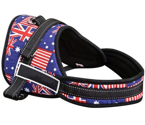Нейлонова шлейка для собак Sports Dog Harness Set нагрудний регульований ремінь для тварин, повідець жилет з грудним обхватом для вигулу собак