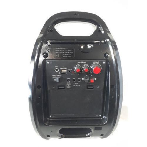 Бездротова Bluetooth колонка X - Bass Golon RX-820BT зі світломузикою і мікрофоном