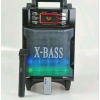 Беспроводная Bluetooth колонка X-BASS Golon RX-2900BT со цветомузыкой и микрофоном