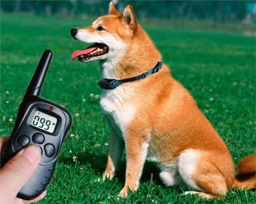 Навчальний електро нашийник для тренування собак Remote pet dog Training Collar з LCD дисплеєм, електронний нашийник для дресирування на батарейках