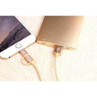 Кабель, шнур Awei CL-930C 2 в 1 Lightning і Micro USB, сріблястий