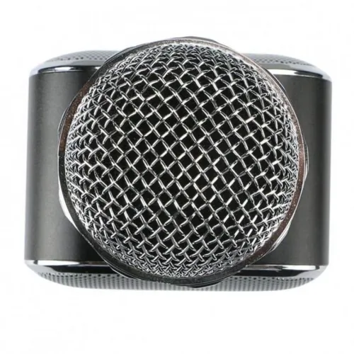 Бездротовий мікрофон караоке Wster WS-1818 Bluetooth USB AUX FM з вбудованою колонкою і функцією зміни голосу на акумуляторі в чохлі WS1818