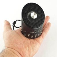 Міні портативна mp3 колонка від USB FM WS-A9