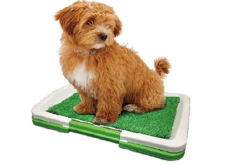 Трирівневий туалет для собак Puppy Potty Pad 872, Відкритий лоток з імітацією трави для тварин 47х34х6 см