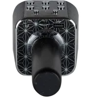 Бездротовий караоке мікрофон WSTER WS - 1688 Bluetooth USB AUX FM з вбудованою колонкою і 5 тембрами голосу на акумуляторі з динаміком Ws1688 Чорний