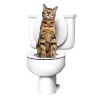 Набір для привчання кішки до туалету Citi Kitty Cat Toilet Training Kit, система привчання кішок до унітазу CitiKitty