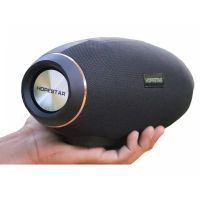 Бездротова Bluetooth колонка HopeStar H20 31W Портативна вологозахищена акустика