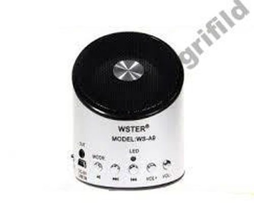 Міні портативна mp3 колонка від USB FM WS-A9