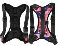 Нейлонова шлейка жилет для вигулу собак, цуценят Dog Harness Set нагрудний регульований ремінь для тварин з грудним обхватом для домашніх вихованців