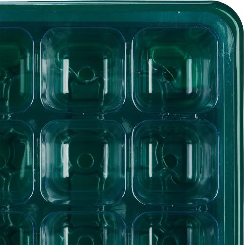 Міні теплиця піддон Starter Germination Kit для вирощування розсади на 12 комірок з регулюванням вологості, Парник для рослин насіння з підставкою