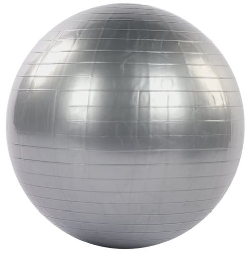 Гімнастичний м'яч PROFiT Ball 55 см M 1539 для фітнесу та гімнастики, фітбол для вагітних, гумовий куля профіт для аеробіки та йоги до 150 кг