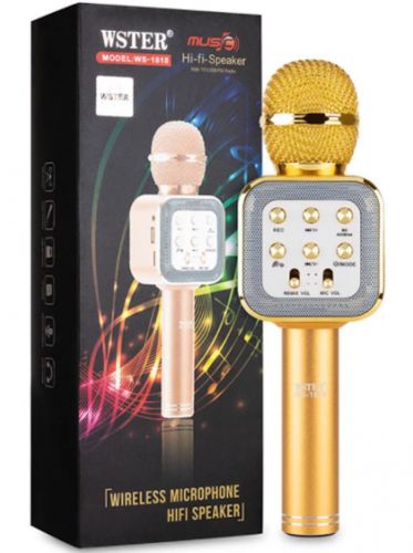 Бездротовий мікрофон караоке Wster WS-1818 Bluetooth USB AUX FM з вбудованою колонкою і функцією зміни голосу на акумуляторі в чохлі Золотий
