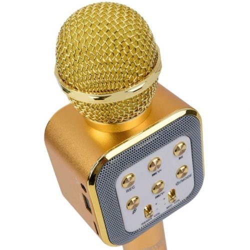 Бездротовий мікрофон караоке Wster WS-1818 Bluetooth USB AUX FM з вбудованою колонкою і функцією зміни голосу на акумуляторі в чохлі Золотий