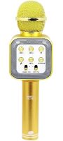 Бездротовий мікрофон караоке Wster WS-1818 Bluetooth USB AUX FM з вбудованою колонкою і функцією зміни голосу на акумуляторі в чохлі Золотий