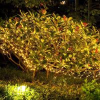 Вулична Світлодіодна гірлянда Solar String Lights LS48 - 100WW 12 метрів 100 LED діодів Теплий білий Роса Warm light з сонячною панеллю для дерев і веранд