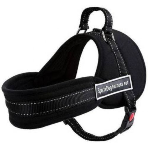 Нейлонова шлейка для собак Sports Dog Harness Set нагрудний регульований ремінь для тварин, повідець жилет з грудним обхватом для вигулу собак