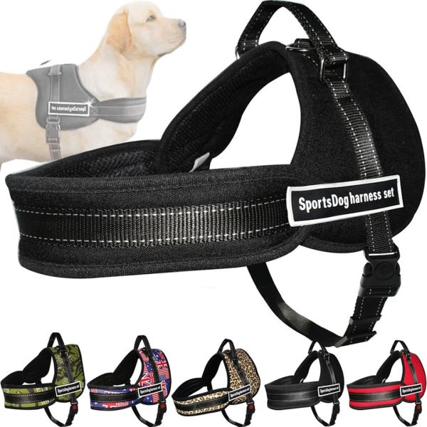 Нейлонова шлейка для собак Sports Dog Harness Set нагрудний регульований ремінь для тварин, повідець жилет з грудним обхватом для вигулу собак