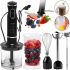 Занурювальний кухонний блендер Raf R.314B Blender Set 5 в 1 800W електричний ручний міксер подрібнювач з віночком, мірною склянкою і насадками R-314B