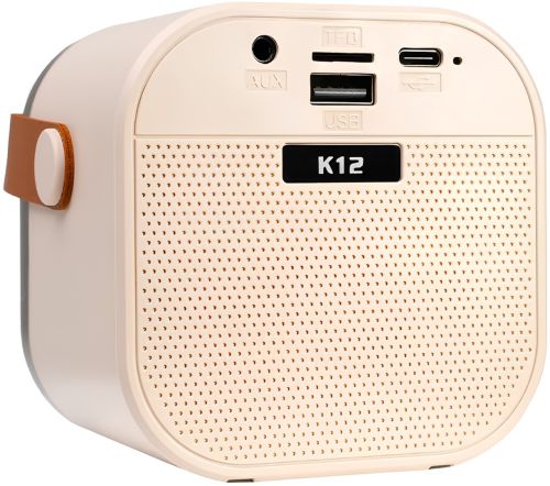 Дитячий бездротовий караоке Speaker K12 2 мікрофони Bluetooth світлодіодна портативна колонка з RGB підсвічуванням на акумуляторі USB AUX LY-736