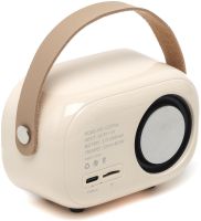 Дитячий бездротової ретро караоке Pulse Platinum C20 Plus портативна водонепроникна Bluetooth колонка з мікрофоном на акумуляторі TF FM USB