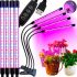 Светодиодная гибкая фитолампа Grow Light на 4 ветки для выращивания комнатных растений, светильник на 4 лампы роста рассады Полный спектр USB с таймером