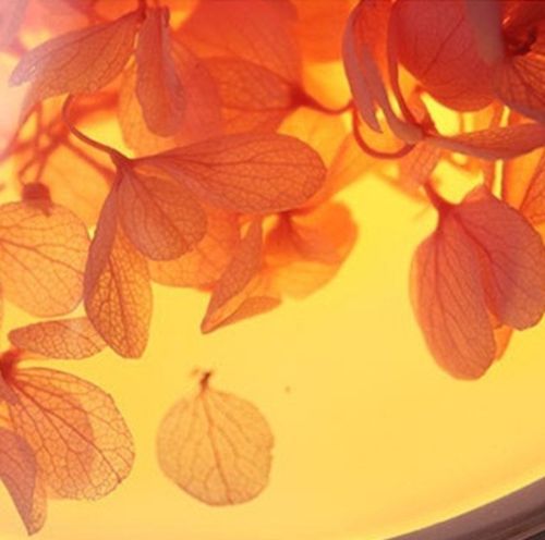 Акумуляторний зволожувач повітря Poke Ball Flower Humidifier OFAN-505 з квітами і LED підсвічуванням, Настільний аромадифузор нічник 220мл від USB