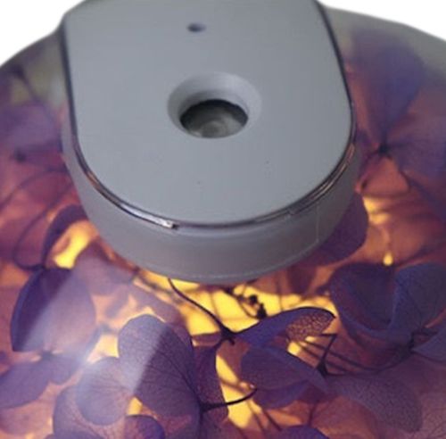 Акумуляторний зволожувач повітря Poke Ball Flower Humidifier OFAN-505 з квітами і LED підсвічуванням, Настільний аромадифузор нічник 220мл від USB